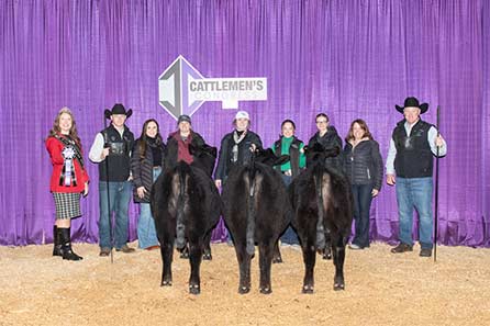 Champion Late Pen of Three Heifers 2026 Cattlemens Congress